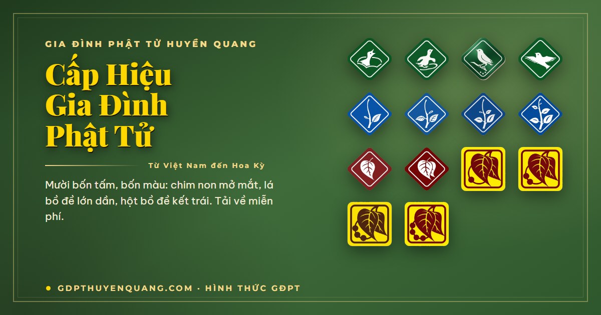 Bộ cấp hiệu Gia Đình Phật Tử: Oanh Vũ, Thiếu, Thanh và Huynh Trưởng