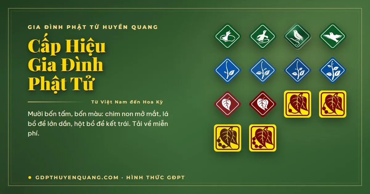Bộ cấp hiệu Gia Đình Phật Tử: Oanh Vũ, Thiếu, Thanh và Huynh Trưởng