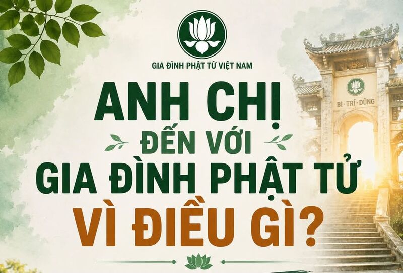 Anh Chị Đến Với Gia Đình Phật Tử Vì Điều Gì?